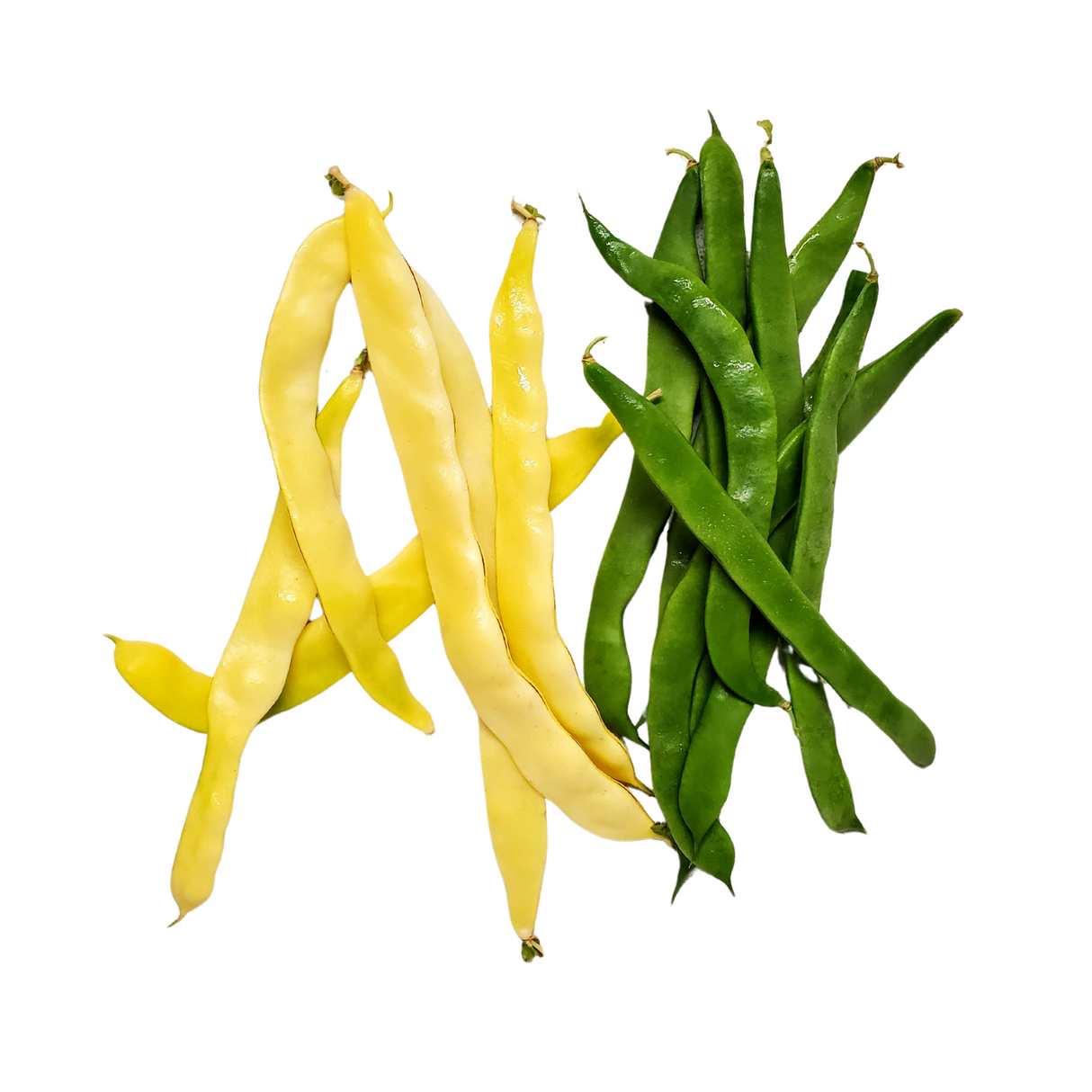 Beans