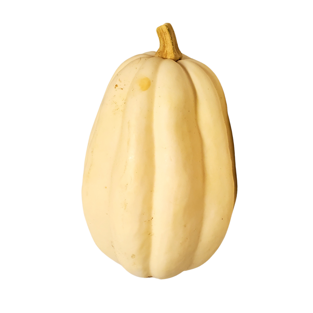 Winter Squash