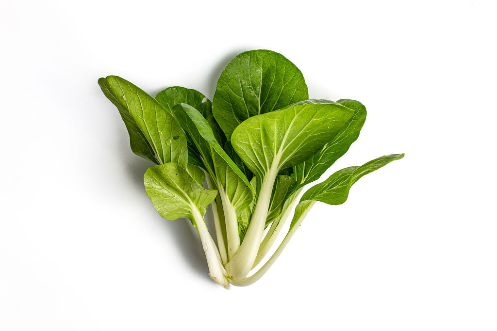 Vibrant Farm Bok Choy