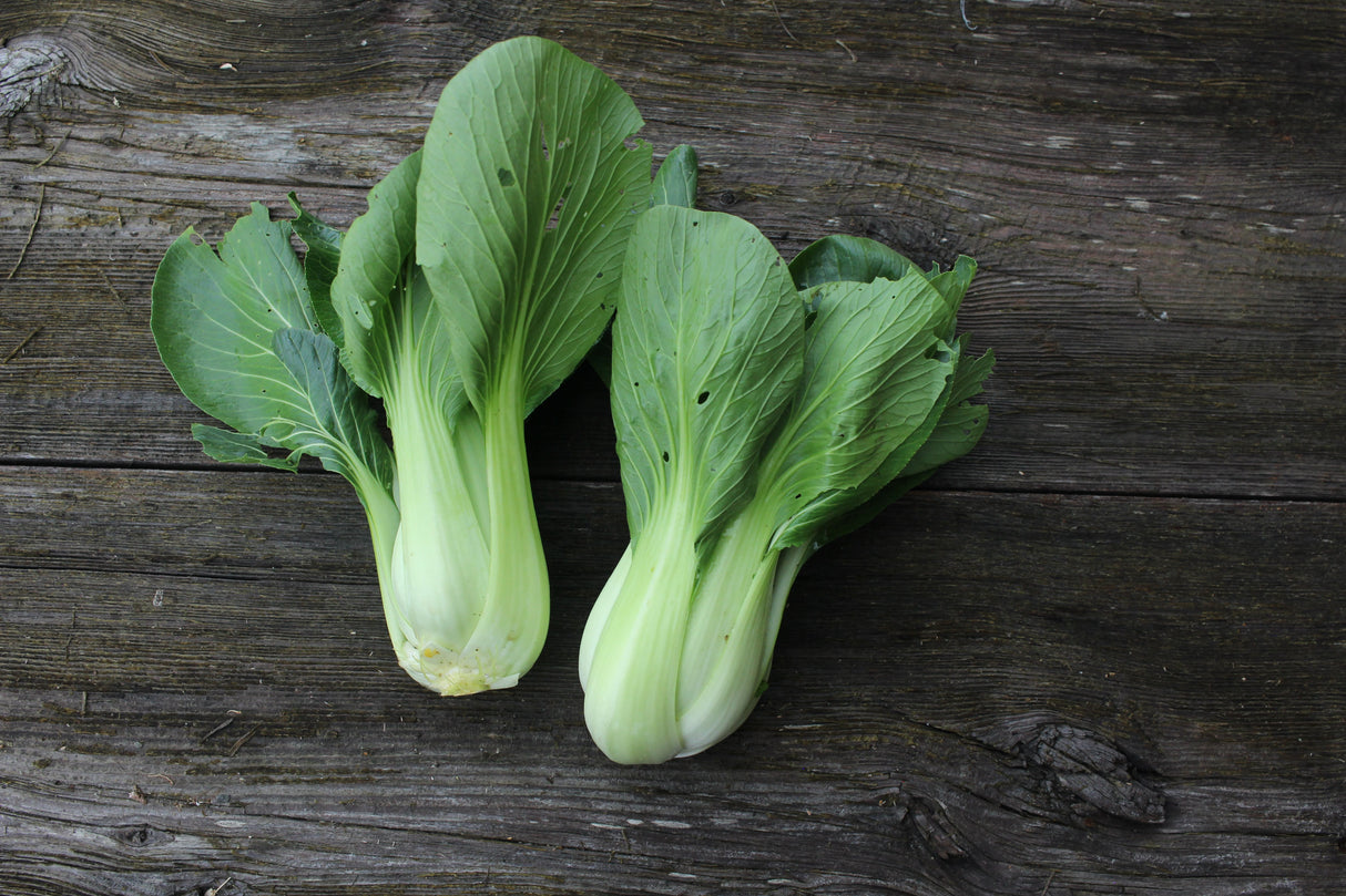 Bok Choy