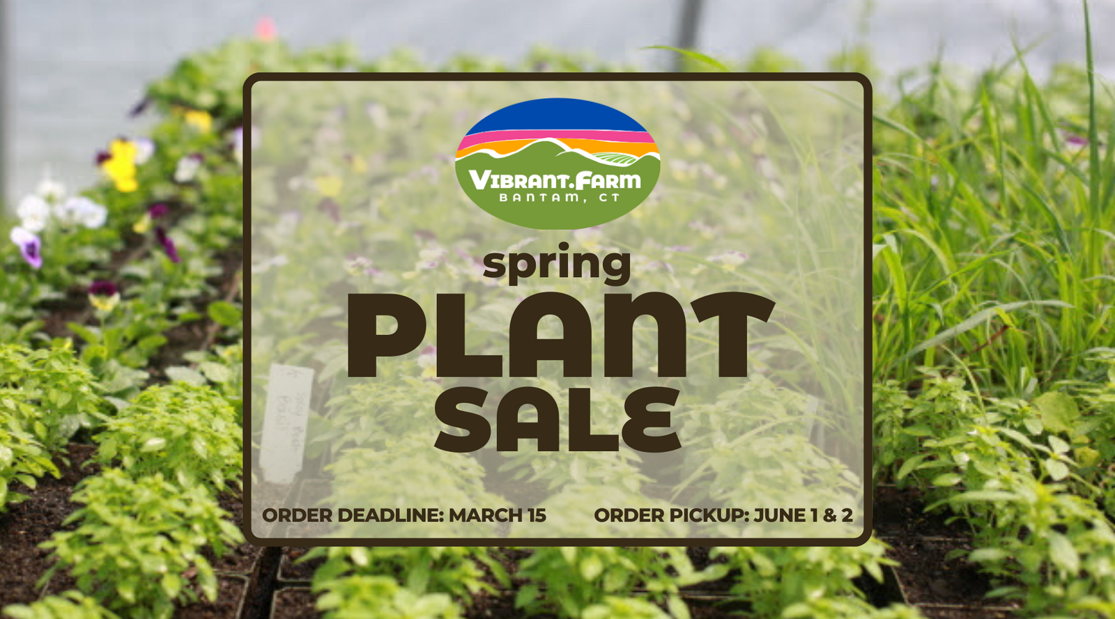 2024 Spring Plant Sale