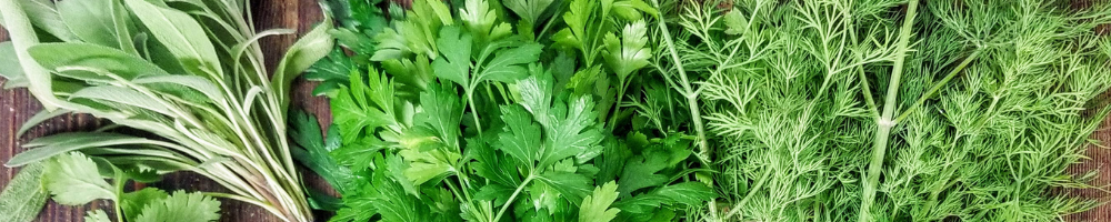 Herbs & Edible Flowers