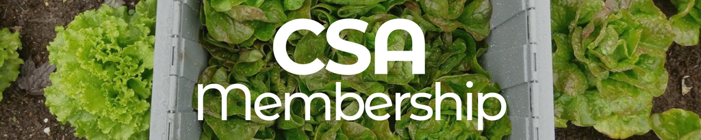 Join our CSA Membership Program
