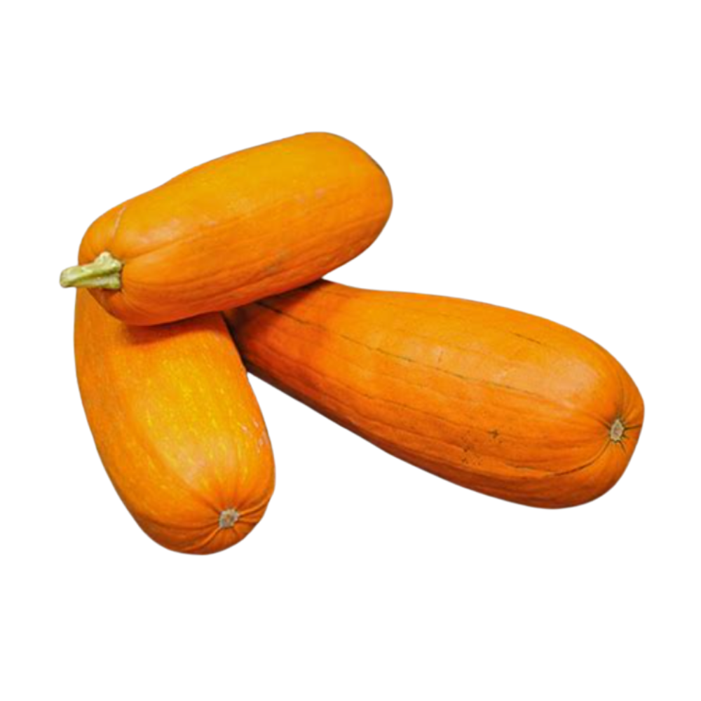 Winter Squash