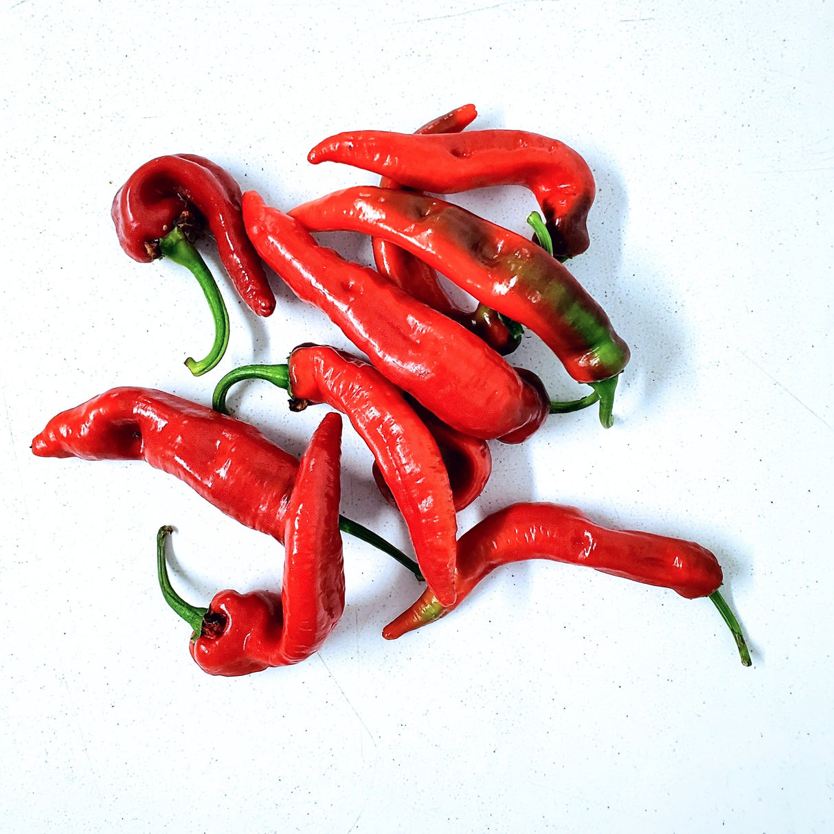 Peppers, Jimmy Nardello