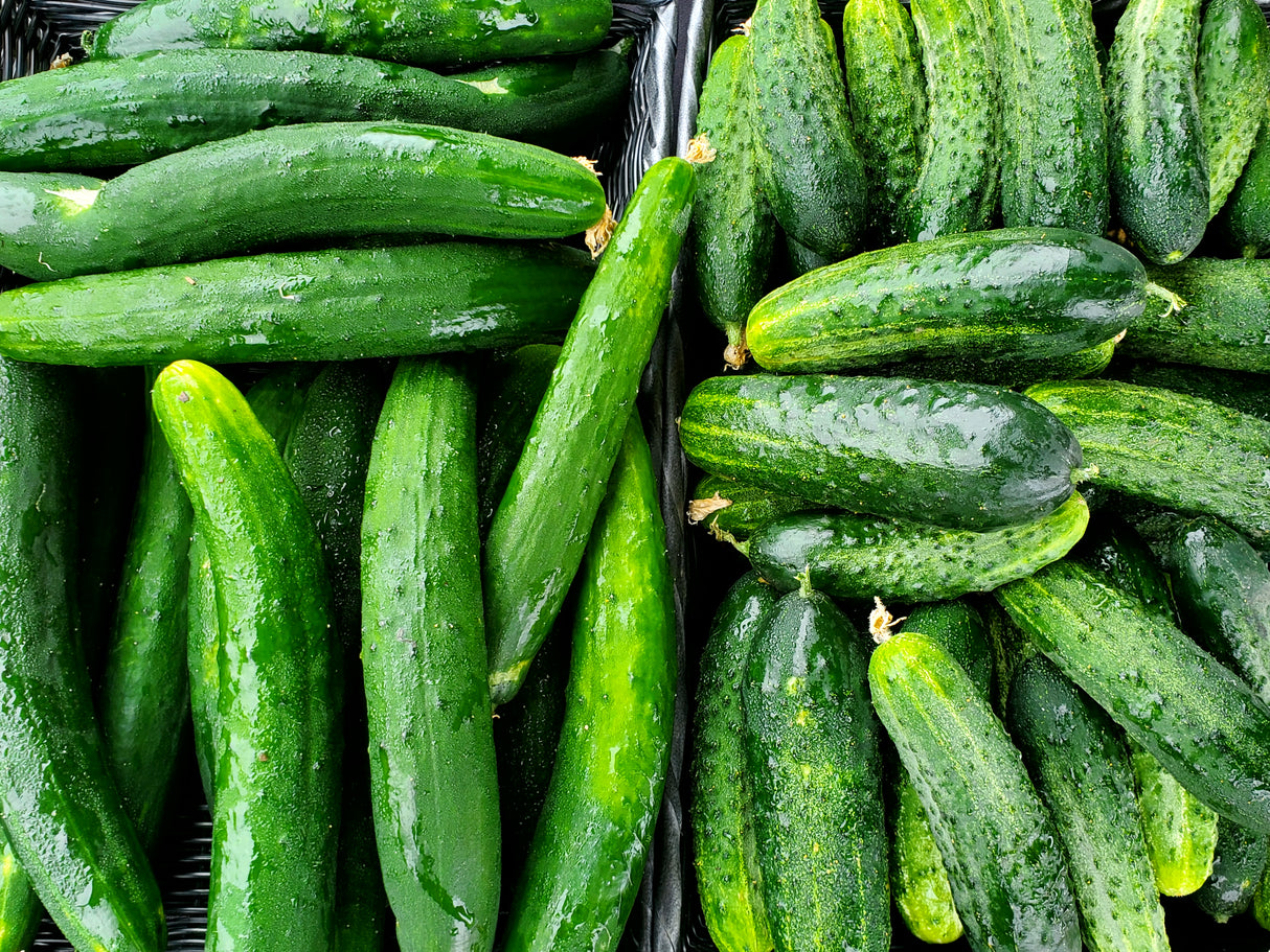 Cucumbers