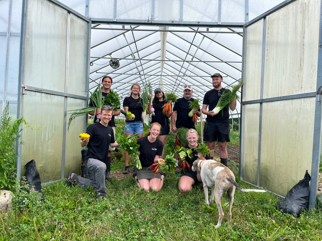 Vibrant Farm 2022 Farm Crew standing in front of greenhouse with freshly harvested Certified Naturally Grown Produce 