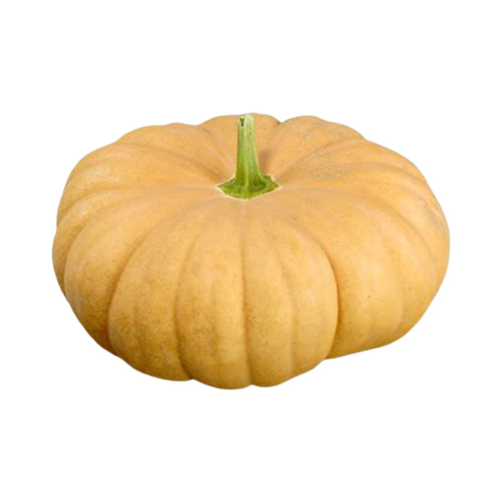 Winter Squash