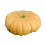 Winter Squash