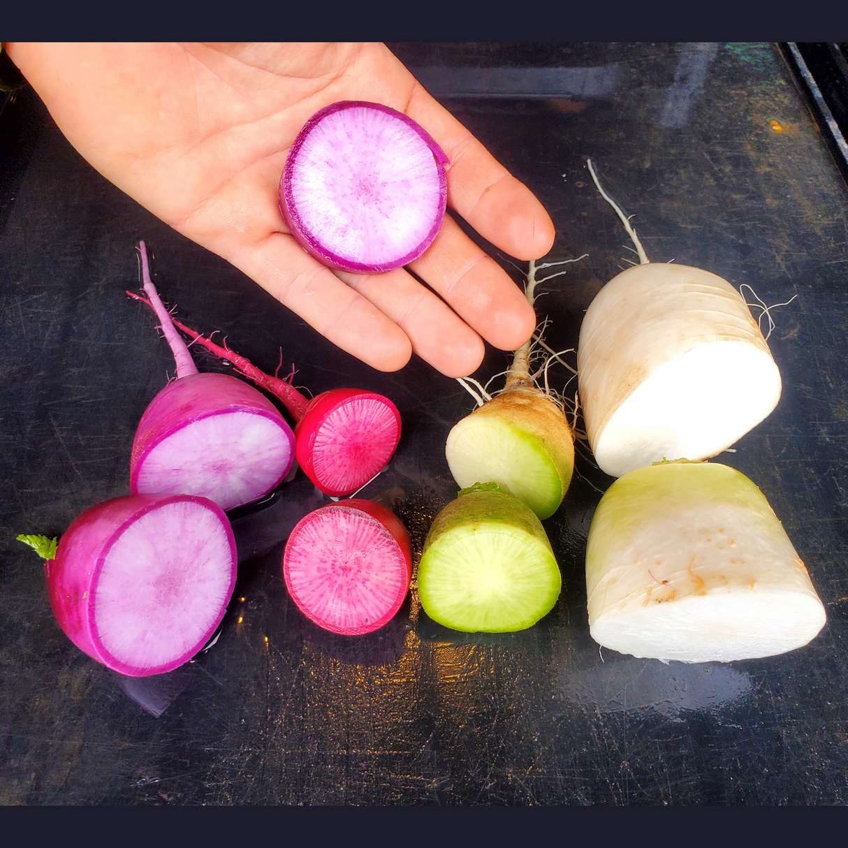 Radish, Daikon