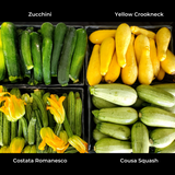 Summer Squash