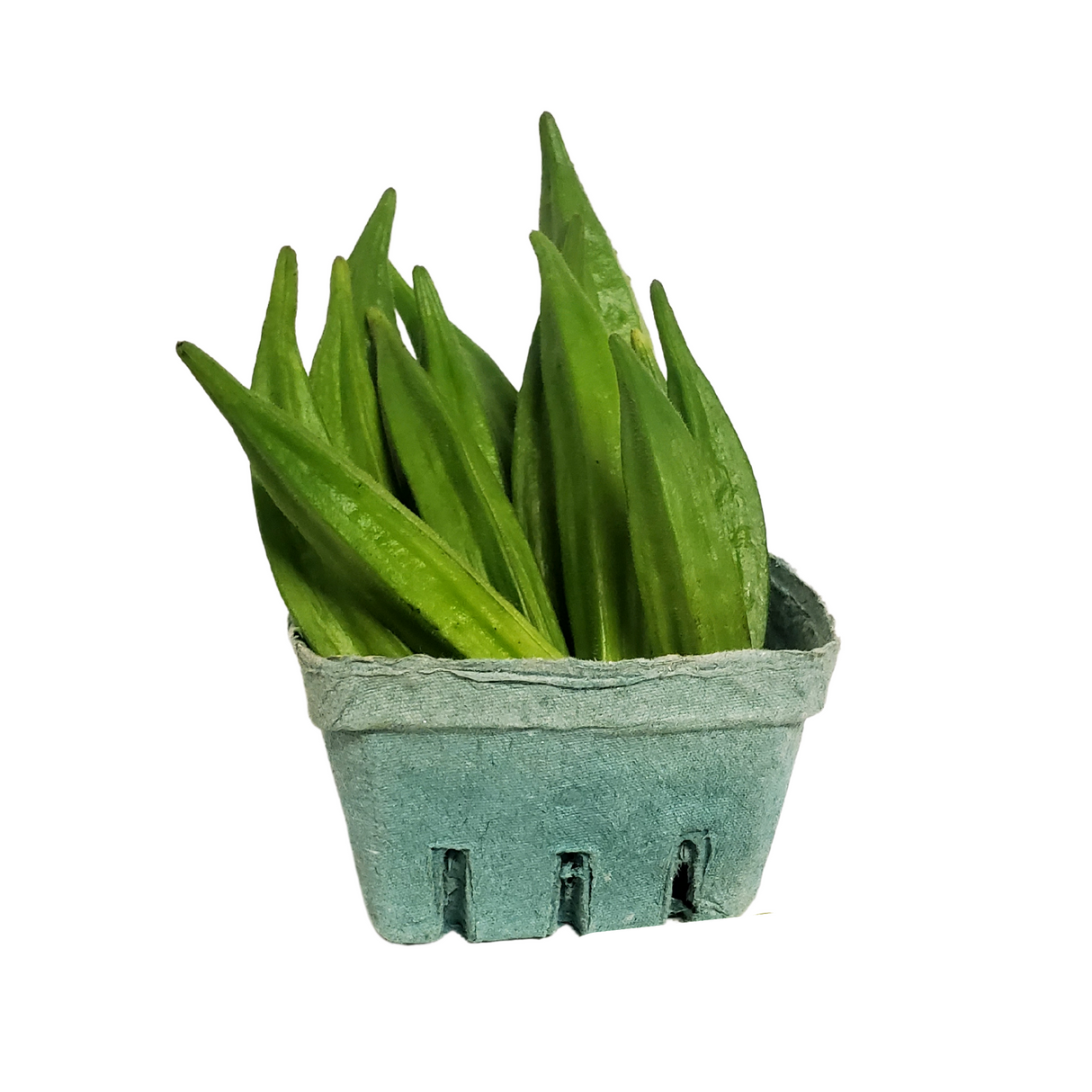 Okra