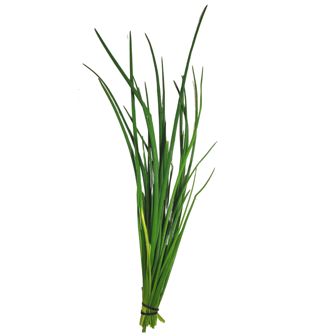 Chives