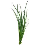 Chives