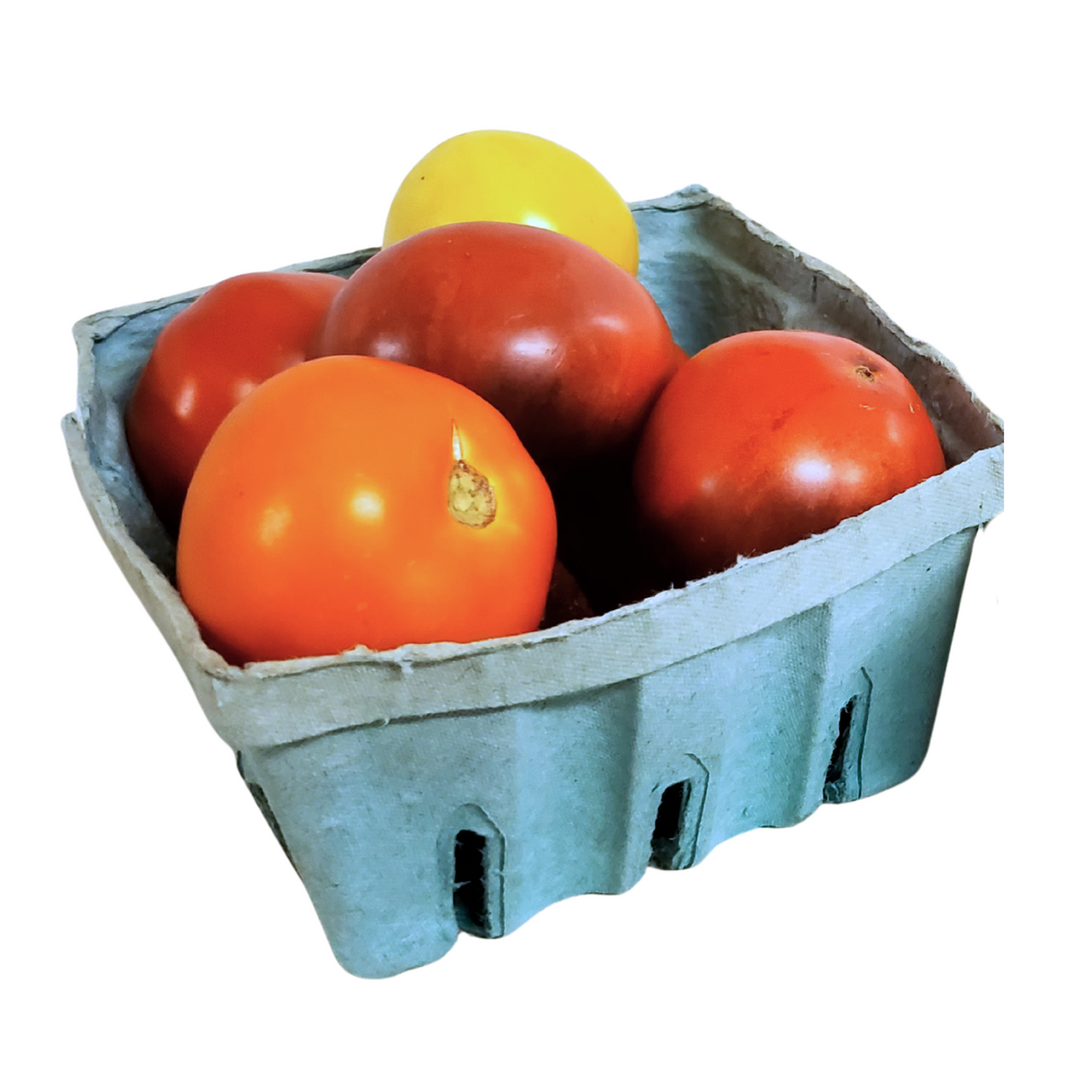 Tomatoes, Saladette