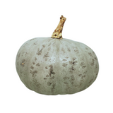 Winter Squash