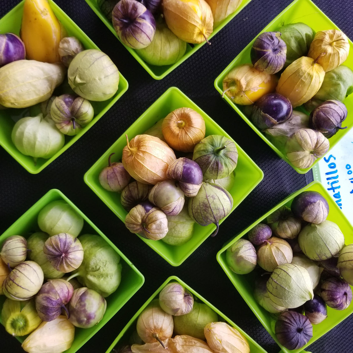 Tomatillos