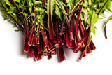 Vibrant Farm Dandelion Greens