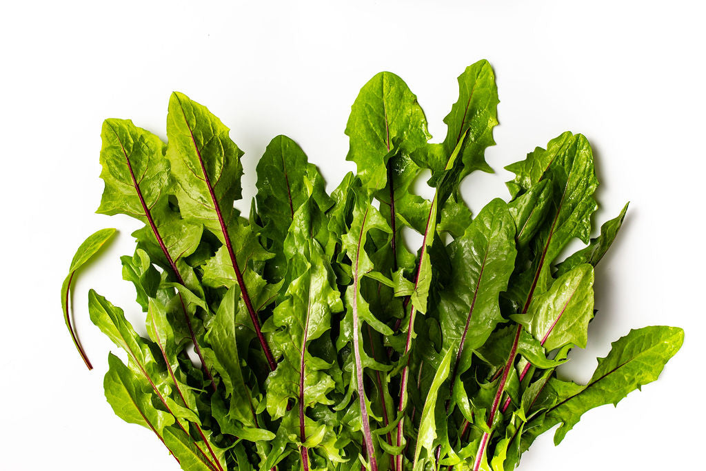 Vibrant Farm Dandelion Greens