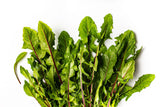 Vibrant Farm Dandelion Greens