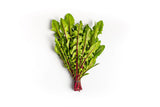 Vibrant Farm Dandelion Greens