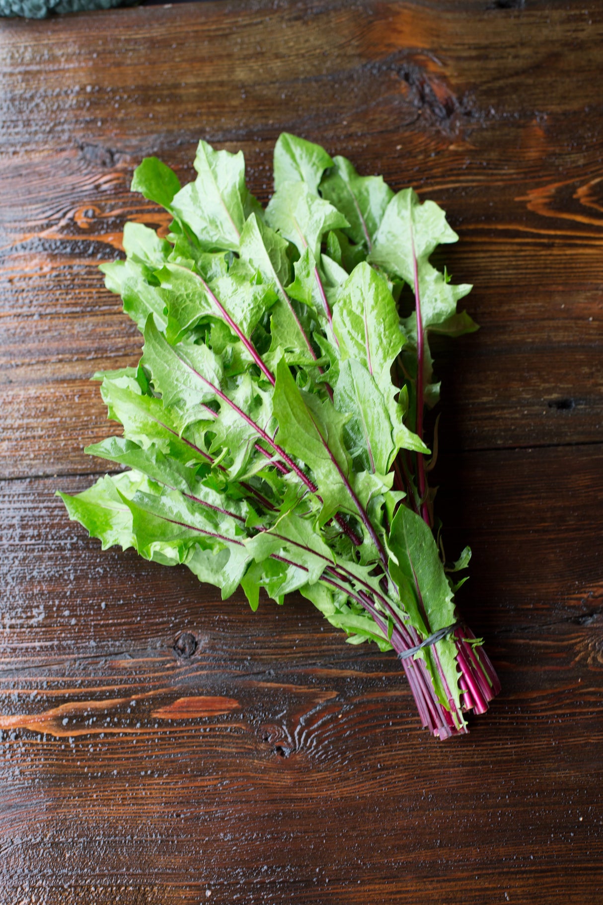 Dandelion Greens from Vibrant Farm