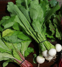 Hakurei Turnips