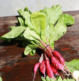 Radishes