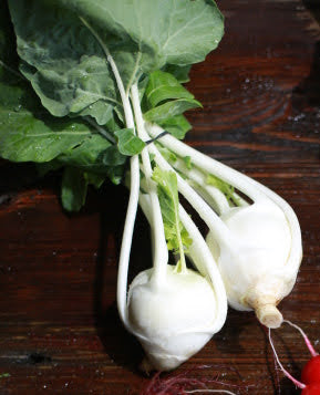 Kohlrabi