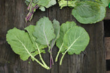 Collards, Heirloom