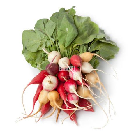 Rainbow radishes