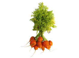 Carrots