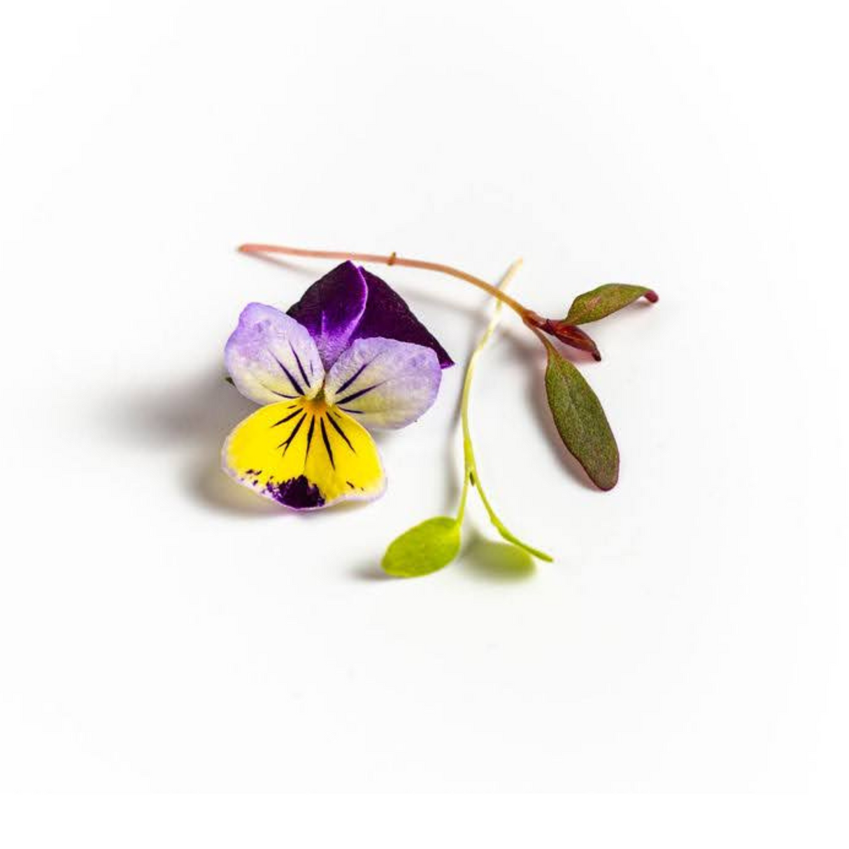 Garnish Mix