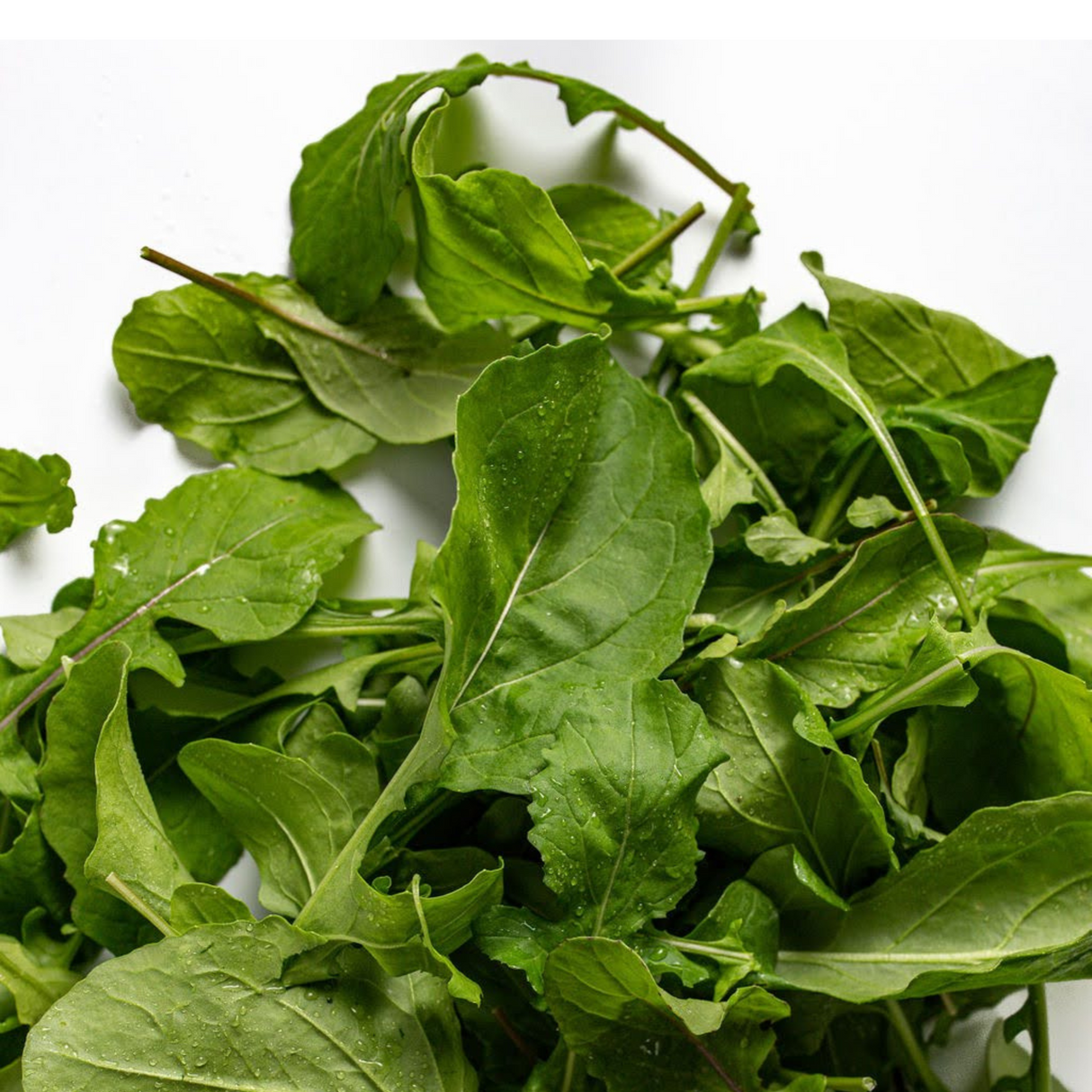 Arugula, baby