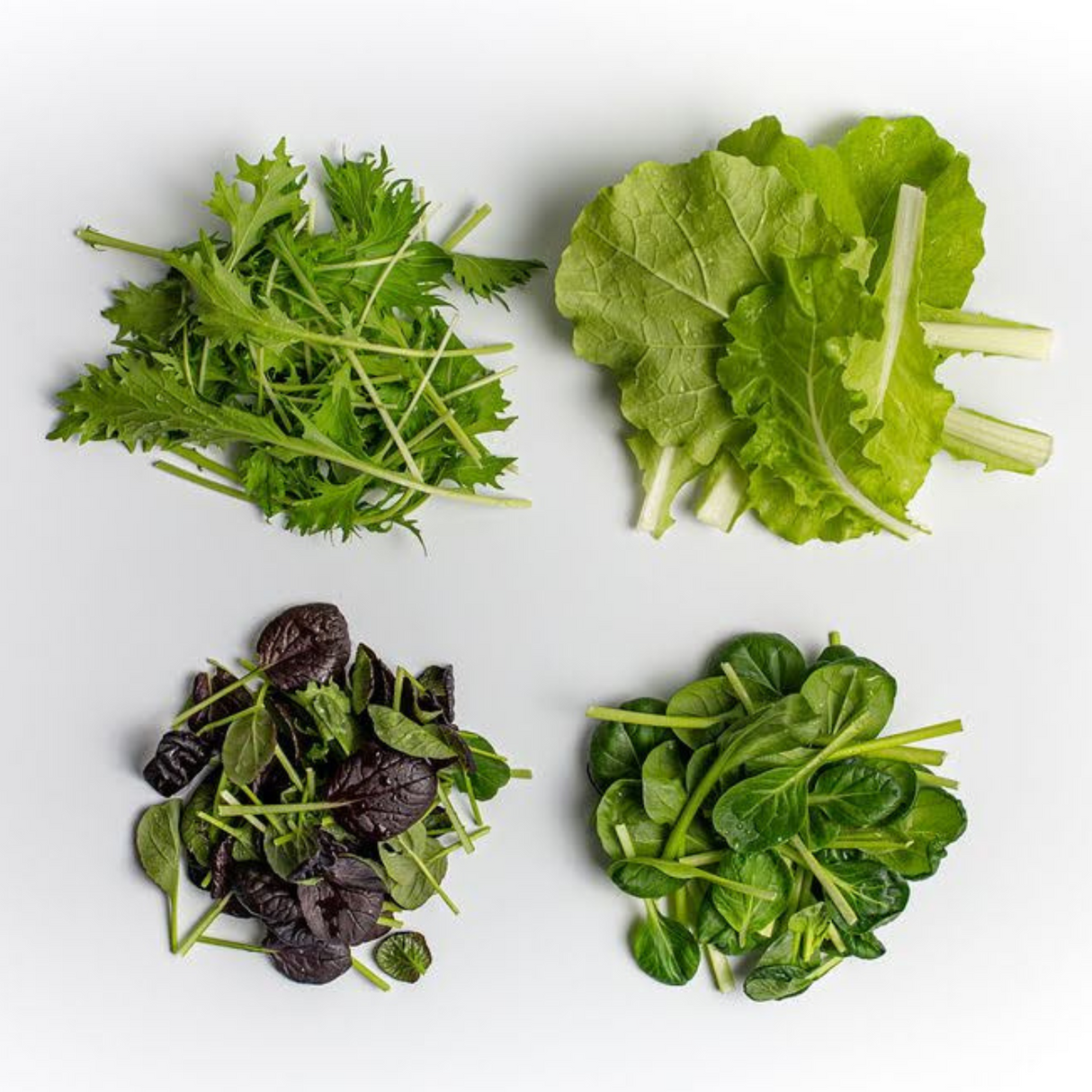Asian Greens Mix, baby