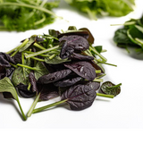 Asian Greens Mix, baby