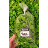 Miner's Lettuce, aka Claytonia