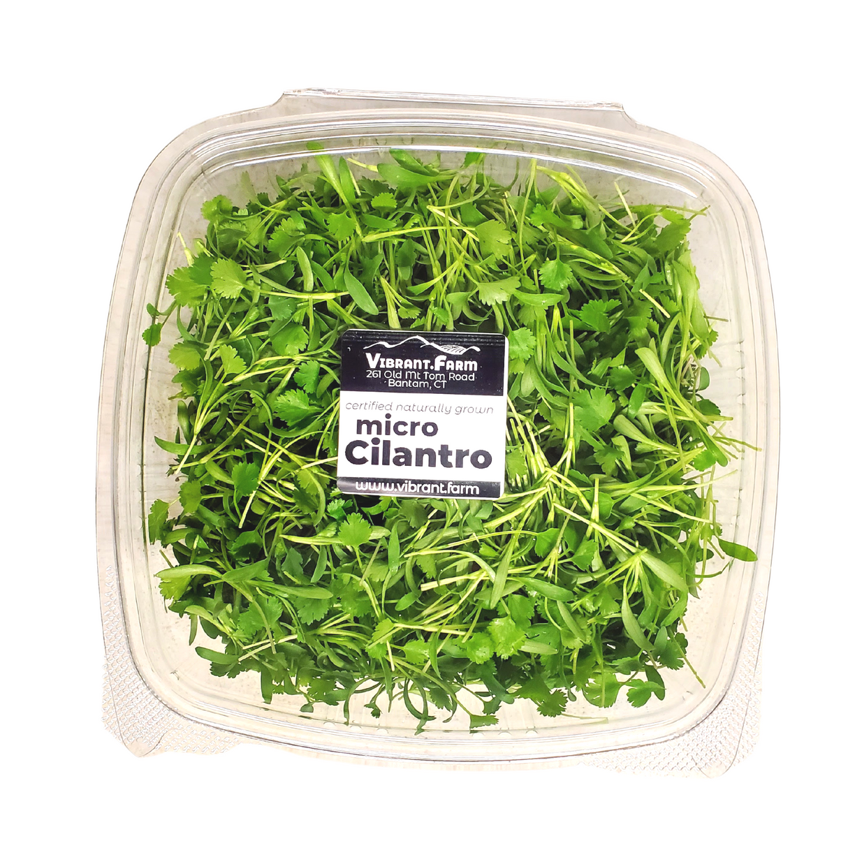Cilantro, micro