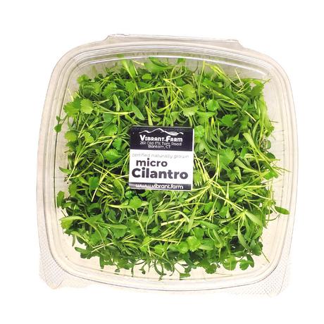 Cilantro, micro