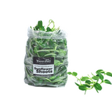 Sunflower Shoots