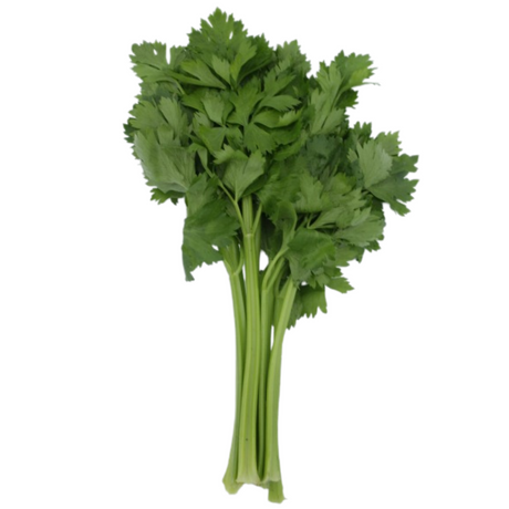 Vibrant Farm Celery