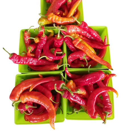 Peppers, Jimmy Nardello