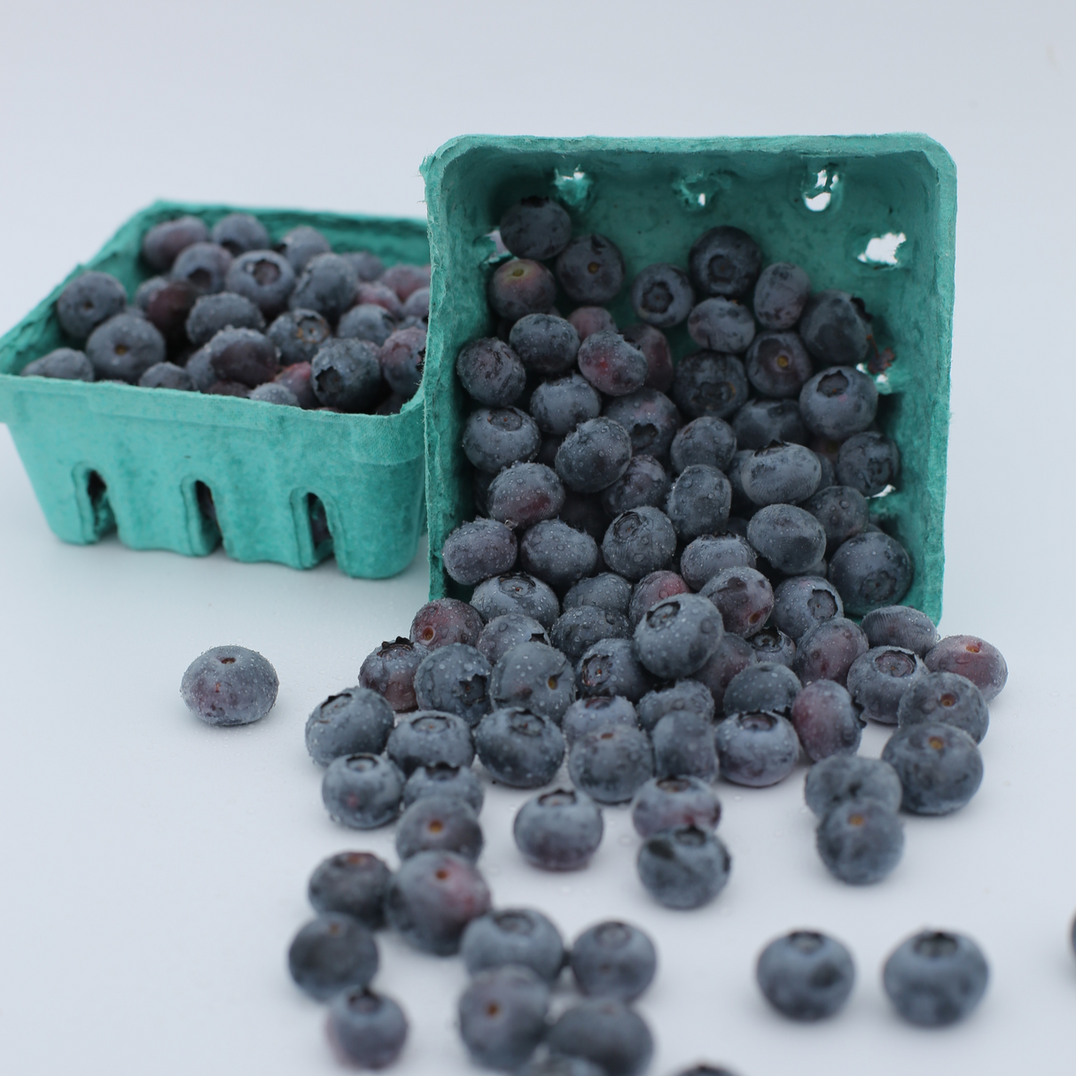 Vibrant Farm Blueberries