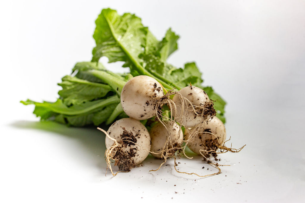 Vibrant Farm White Salad Turnip